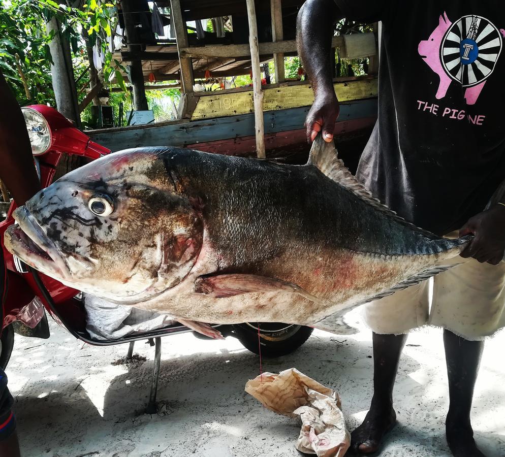 Kae Funk Zanzibar Hotel Michamvi Kae ภายนอก รูปภาพ