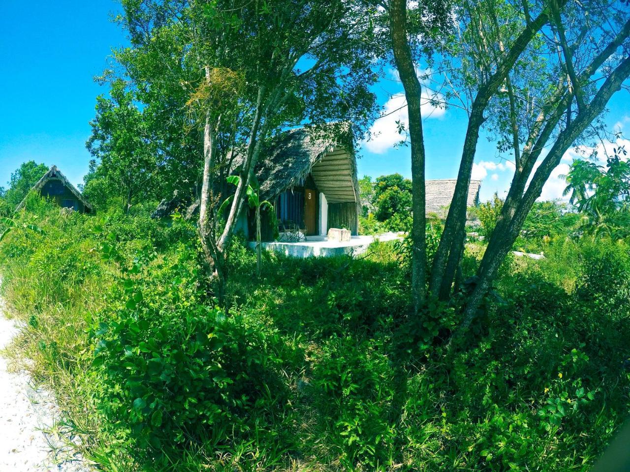 Kae Funk Zanzibar Hotel Michamvi Kae ภายนอก รูปภาพ